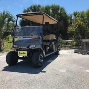 6 Passenger LSV Golf Cart