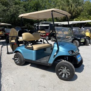 4 Passenger LSV Golf Cart